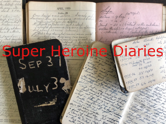 Super Heroine Diaries